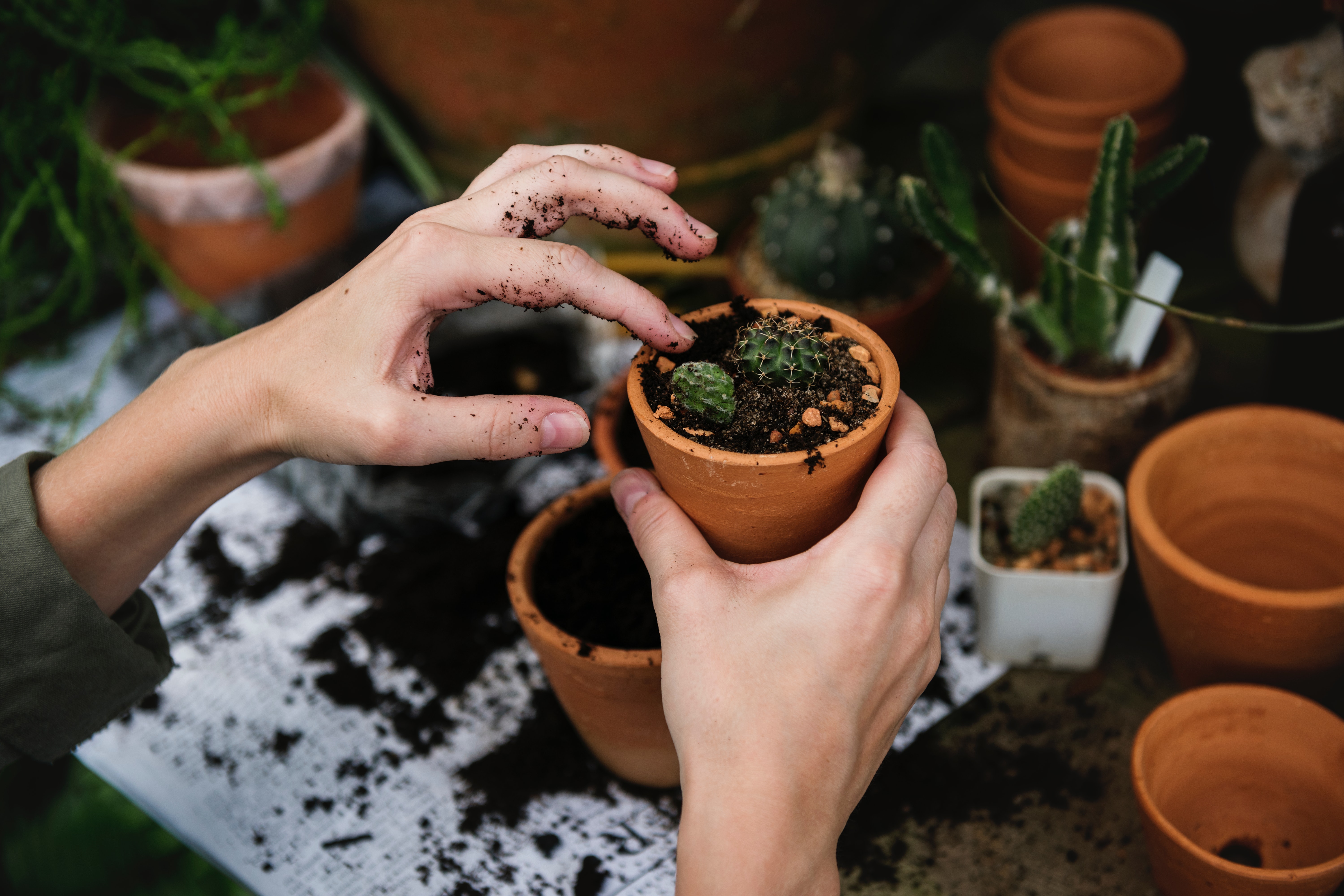 An Essay On Personal Growth
