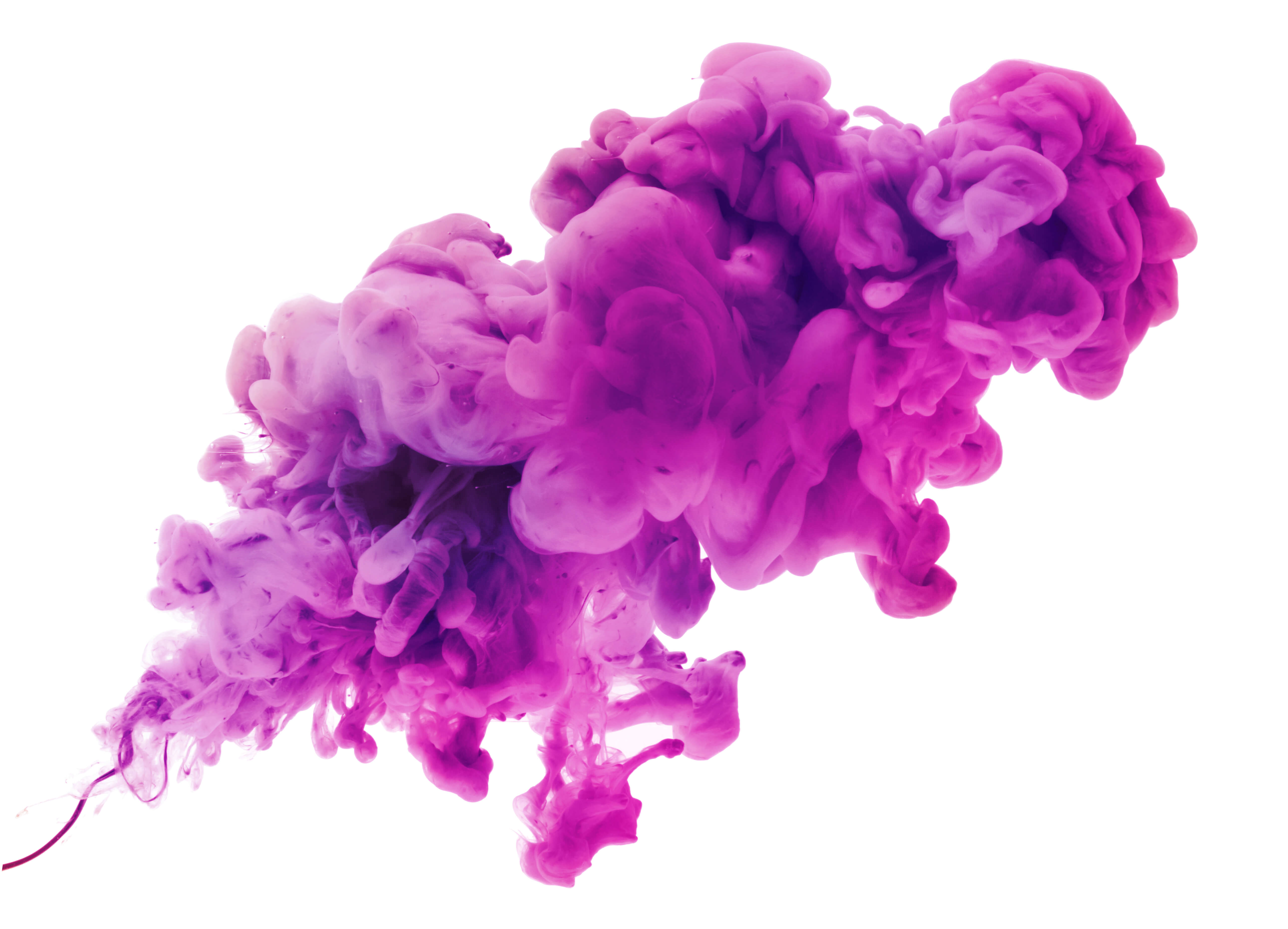 On staying curious and how to know when our creative endeavors are finished.